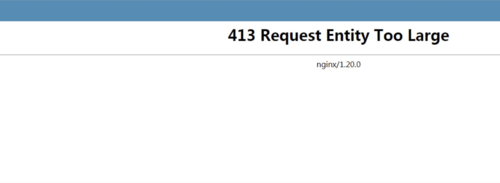 413报错什么意思-图1